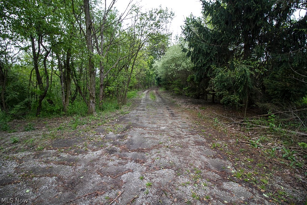 Springfield Road North Lima, OH 44452 - Photo 29 of 35