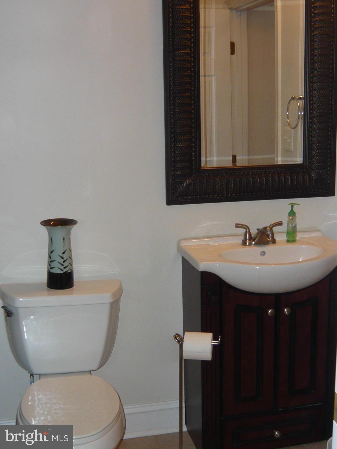 20618 Wilderness Run Road Boonsboro, MD 21713 - Photo 20 of 27 Full bath in basement