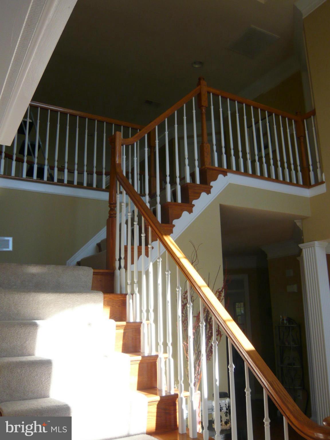 20618 Wilderness Run Road Boonsboro, MD 21713 - Photo 5 of 27 2 story stairs and foyer