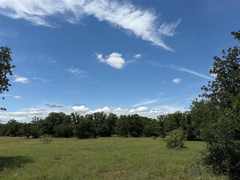 0 Rux Road Olney, TX 76374 - Photo 7 of 12 a view of a big yard