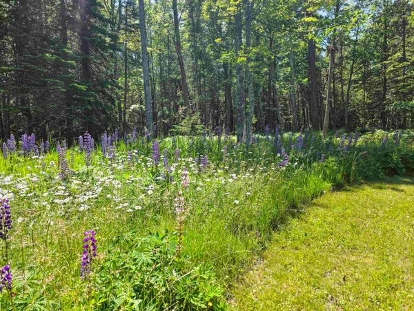 $549,900 | 1161 Chebomnicon Road, La Pointe, WI 54850