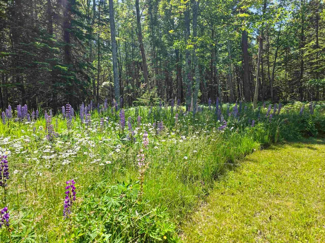 $549,900 | 1161 Chebomnicon Road, La Pointe, WI 54850