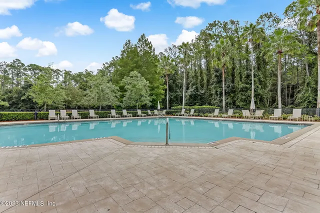 a view of swimming pool with lawn chairs and plants