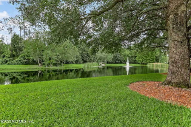 a park with water view