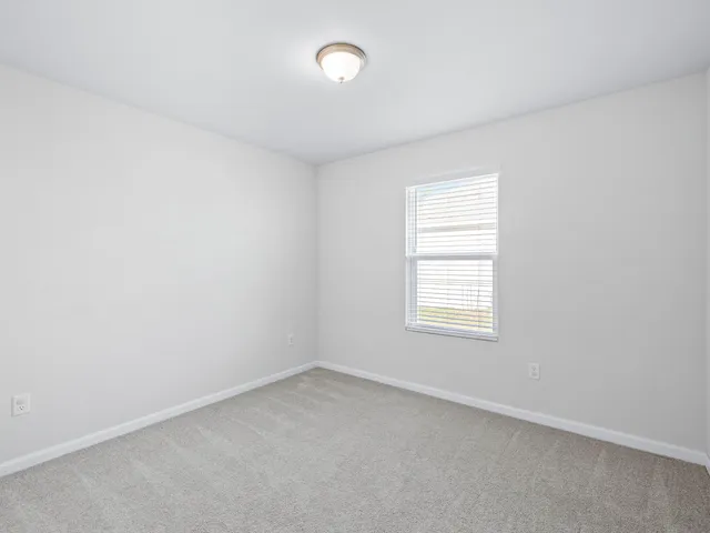a bathroom with a shower and a toilet