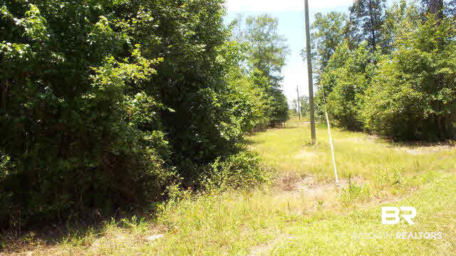0 West Railroad Street Castleberry, AL 36432 - Photo 31 of 41