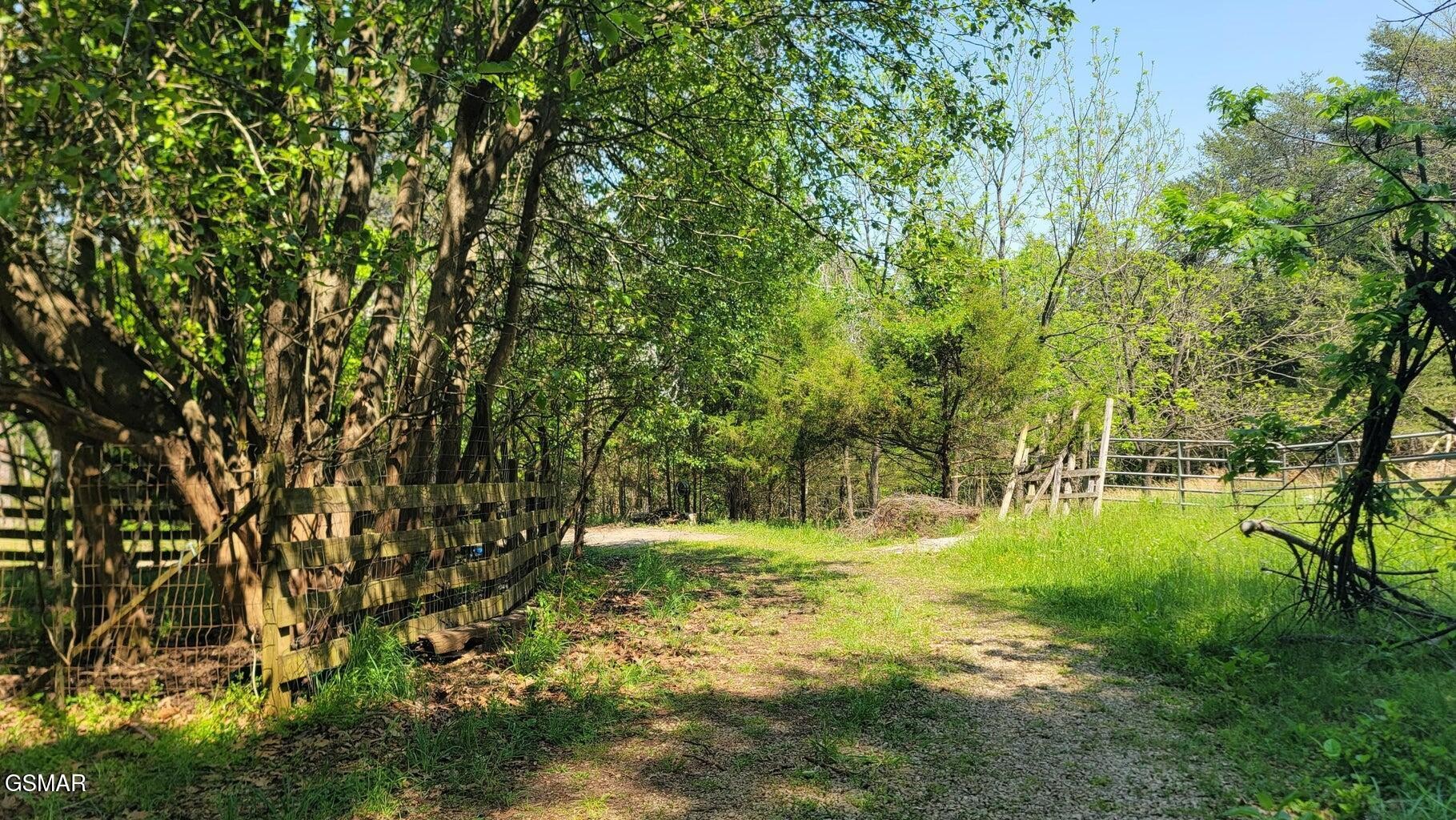 263 West Price Road Dandridge, TN 37725 - Photo 14 of 33 Gallery Image 14