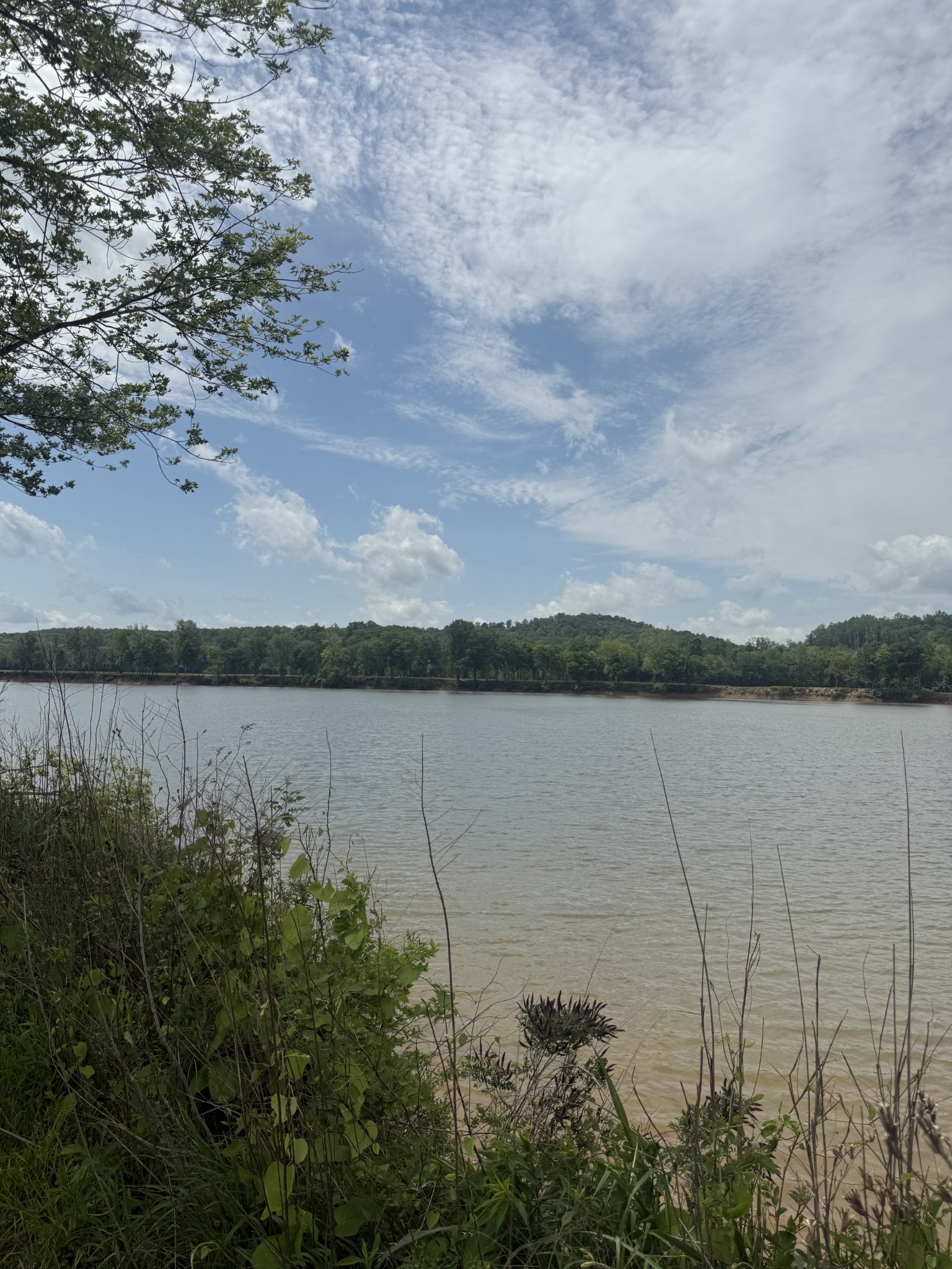 167 Hardin Bottom River Road Clifton, TN 38425 - Photo 3 of 26
