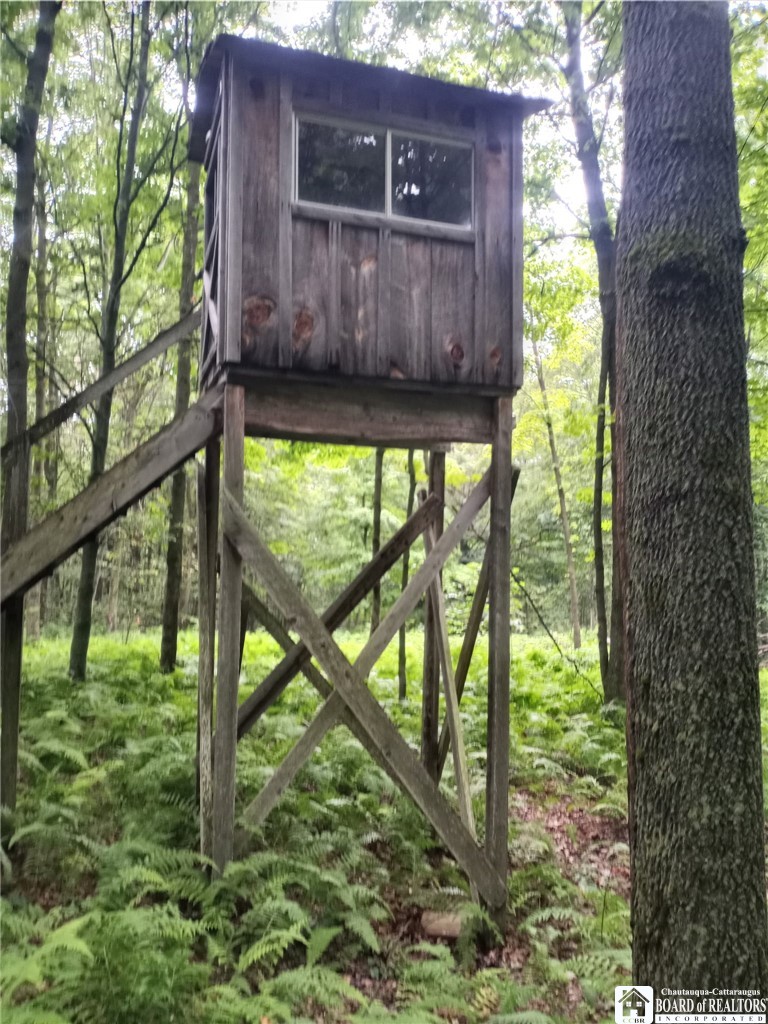 0 Leach Hill Road Kennedy, NY 14747 - Photo 14 of 17