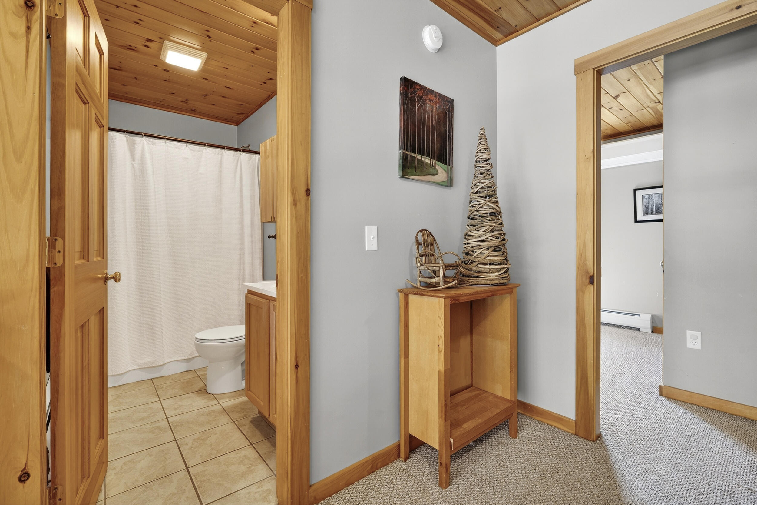 203 Walkers Mills Road Bethel, ME 04217 - Photo 46 of 66