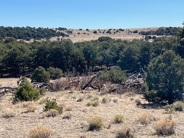 3 B Majors Ranch Road Walsenburg, CO 81089 - Photo 22 of 54