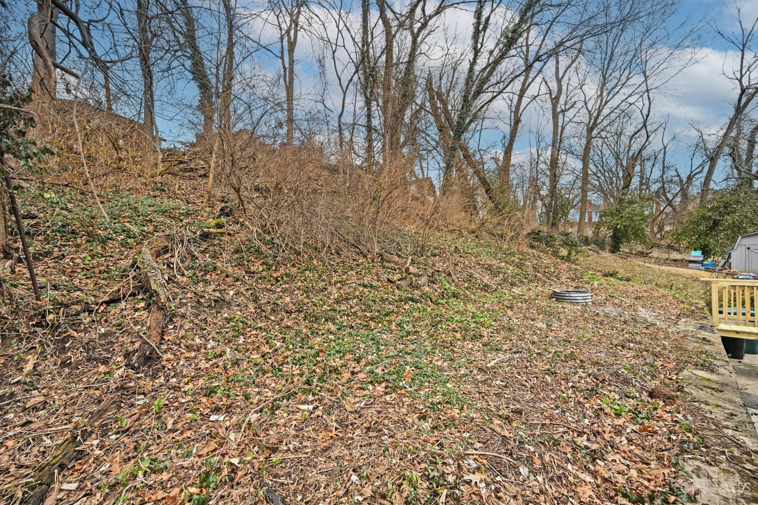 2037 Duck Creek Road Cincinnati, OH 45207 - Photo 38 of 40
