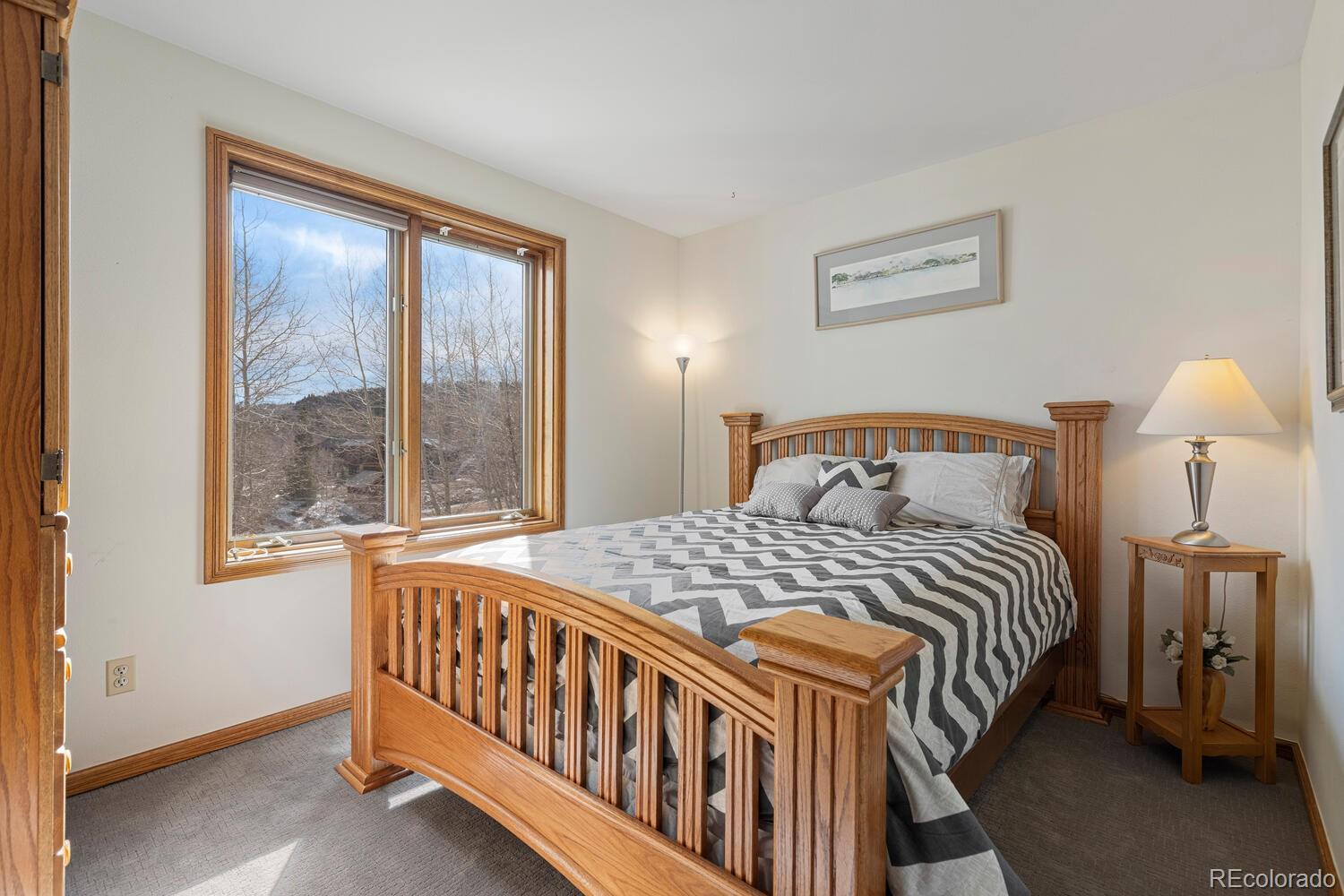 1214 South Ruby Road Silverthorne, CO 80498 - Photo 23 of 36 Gallery Image 23