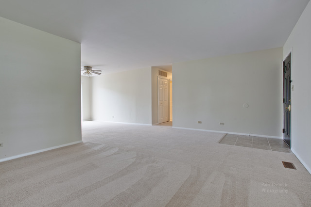 228 Timber Hill Road Buffalo Grove, IL 60089 - Photo 5 of 25 an empty room with a natural light