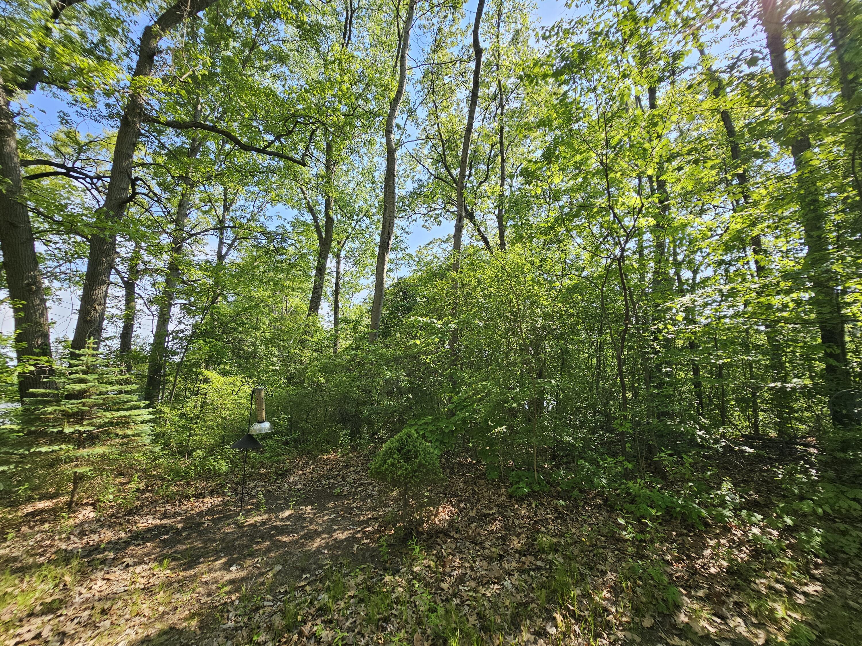 5350 Eze Street Reading, MI 49274 - Photo 10 of 36 1000039244