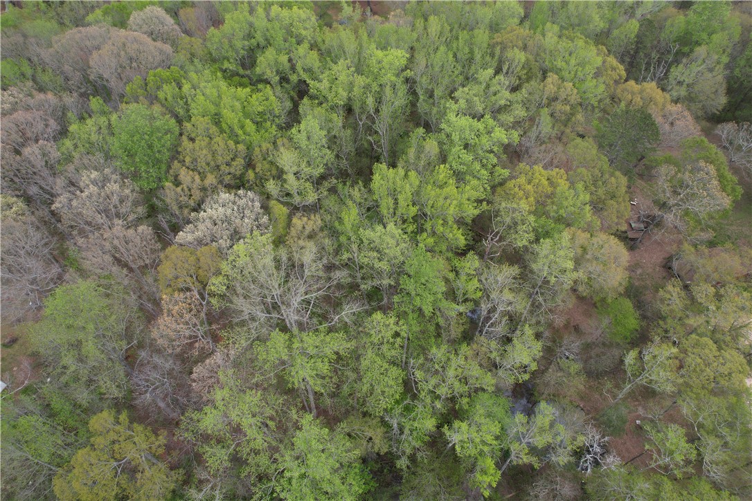 115 Dowell Road Anderson, SC 29626 - Photo 6 of 11