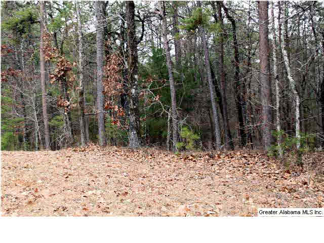 Faith Lane, Unit 6D Calera, AL 35040 - Photo 1 of 1