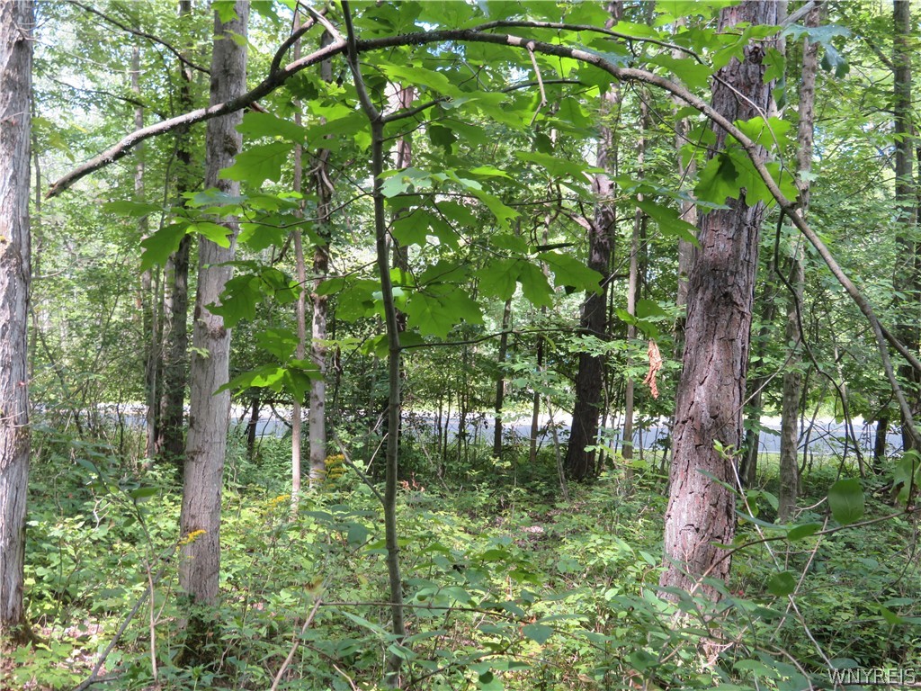 0 Cr-49 Caneadea, NY 14717 - Photo 11 of 15