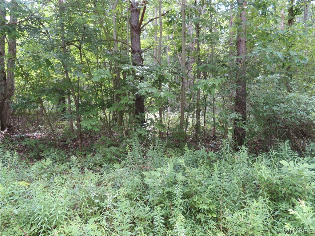 0 Cr-49 Caneadea, NY 14717 - Photo 2 of 15