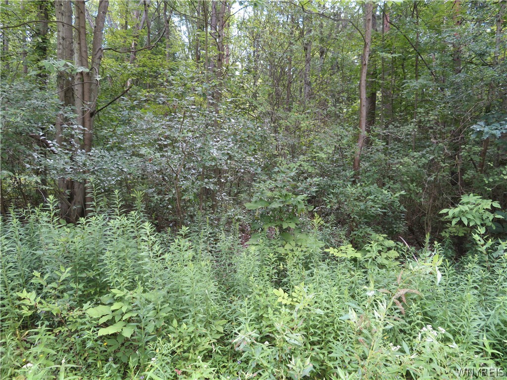 0 Cr-49 Caneadea, NY 14717 - Photo 4 of 15