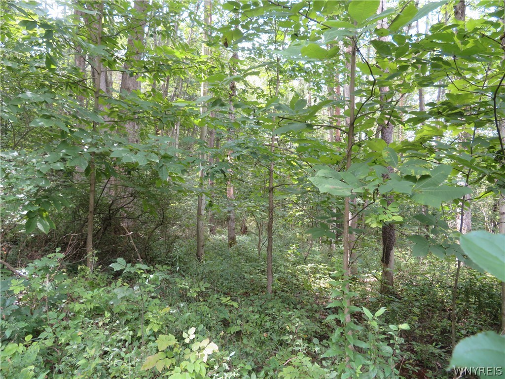 0 Cr-49 Caneadea, NY 14717 - Photo 7 of 15