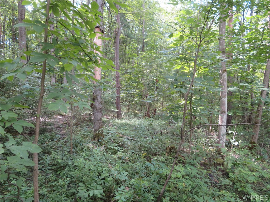 0 Cr-49 Caneadea, NY 14717 - Photo 8 of 15