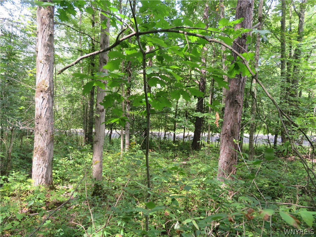 0 Cr-49 Caneadea, NY 14717 - Photo 10 of 15