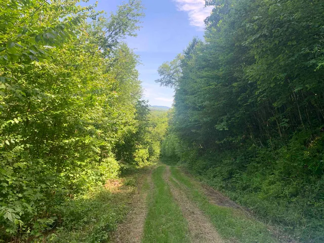 $399,000 | Tbd Ridge Road, Stewartstown, NH 03576