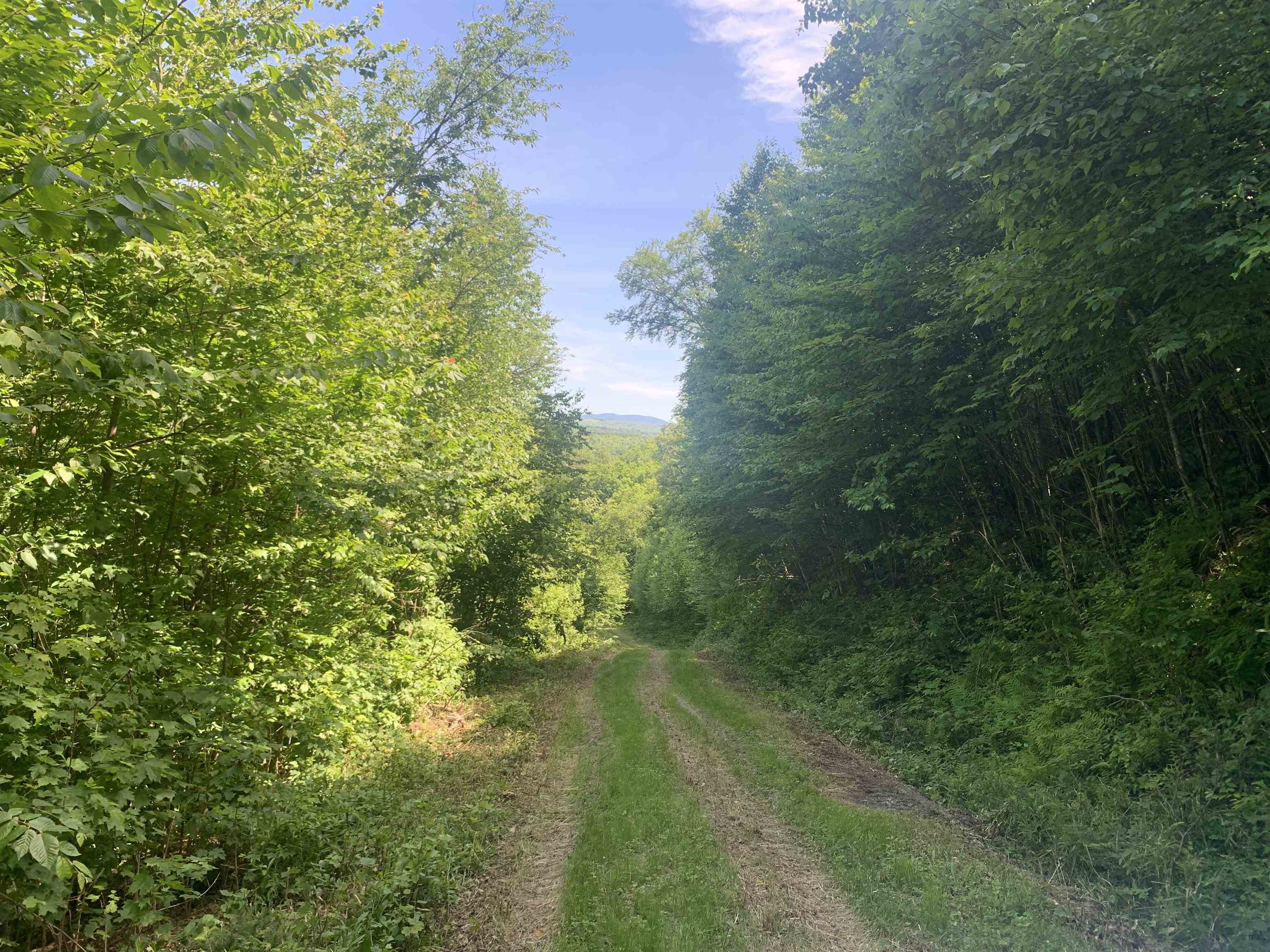 Tbd Ridge Road Stewartstown, NH 03576 - Photo 5 of 8