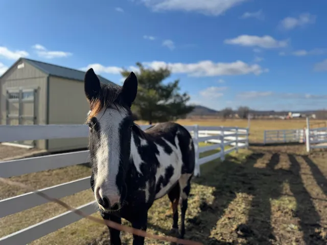 $525,000 | 28632 County Hwy BA, Richland Center, WI 53581