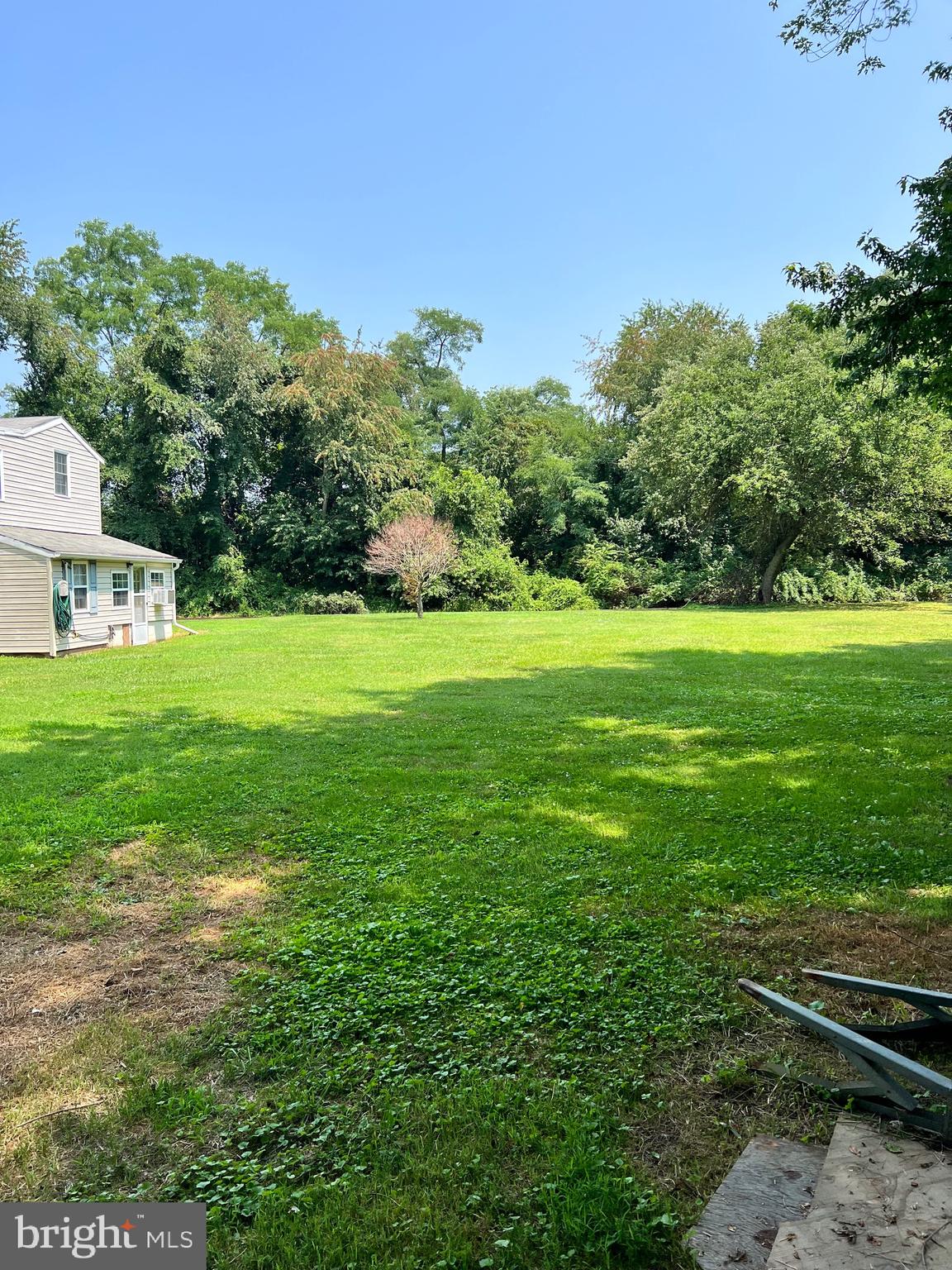 25217 Porters Grove Road Worton, MD 21678 - Photo 23 of 30 Backyard!