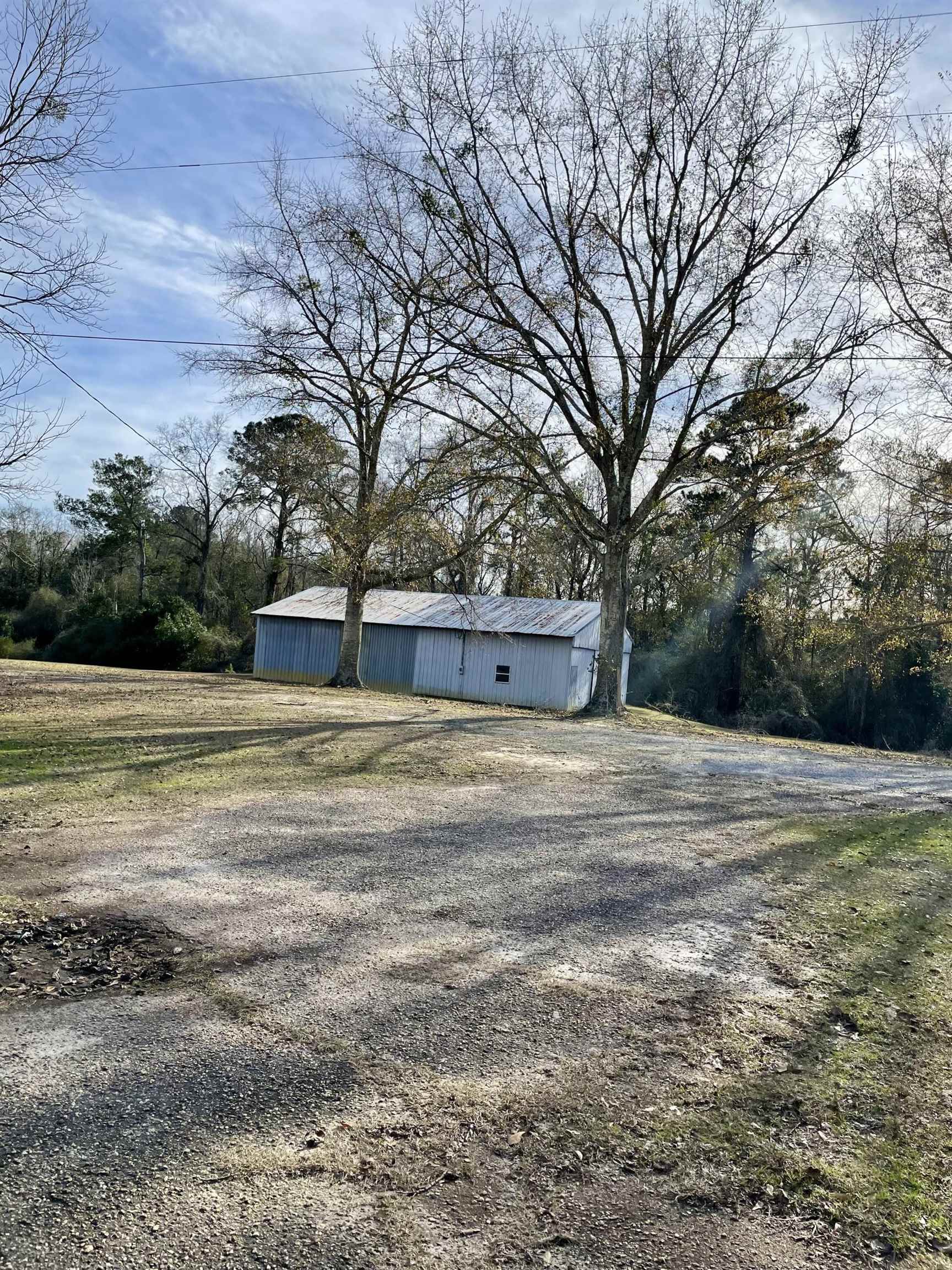 20142 Babbie Road Andalusia, AL 36421 - Photo 5 of 20 Gallery Image 5