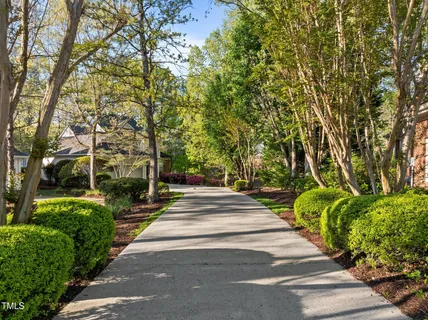 a walkway with trees on sides