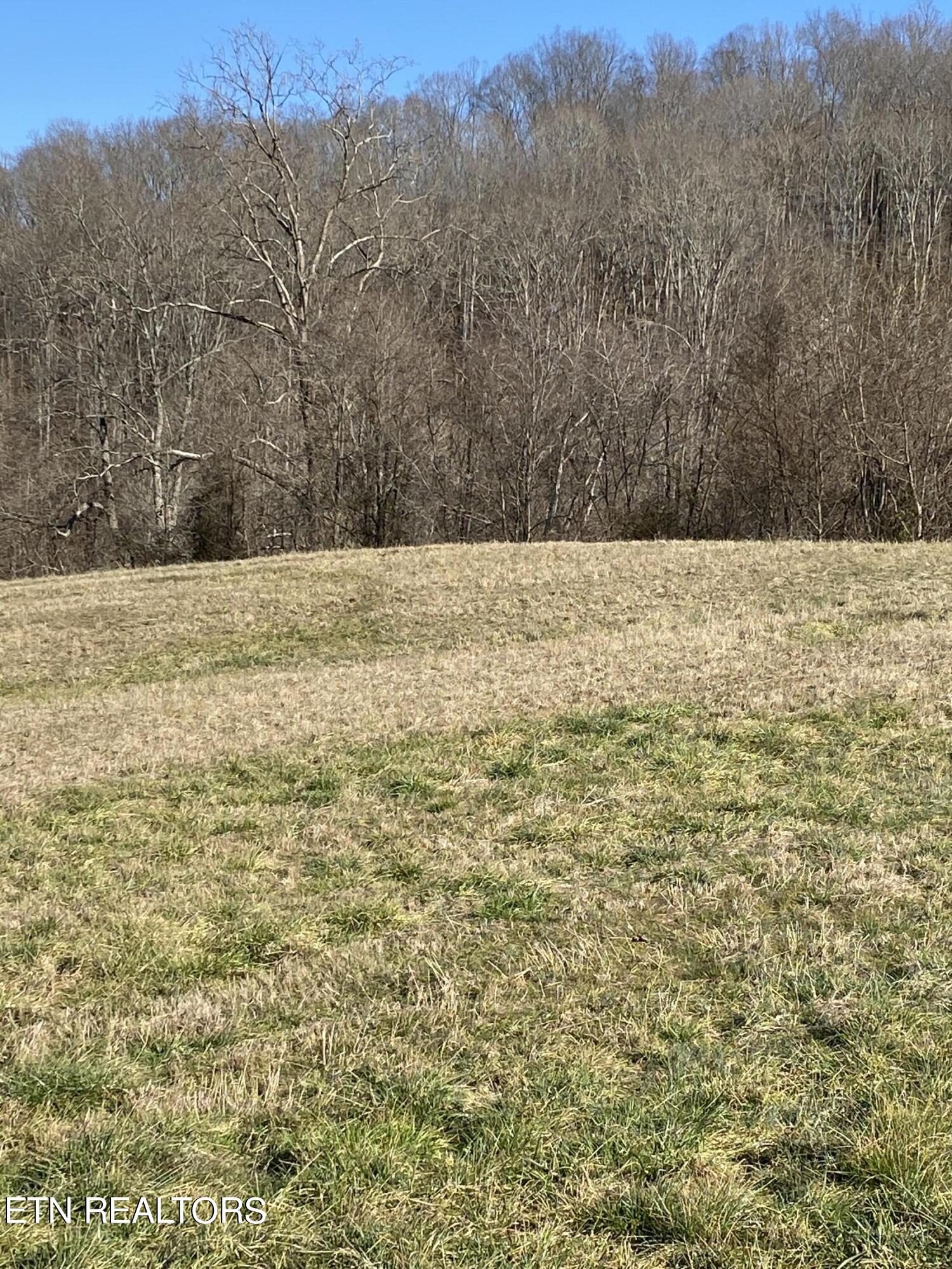 Bob Wright Road Maynardville, TN 37807 - Photo 12 of 22 IMG_1490