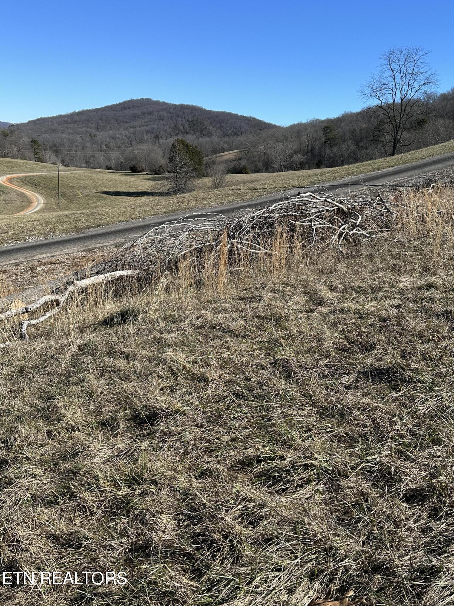 Bob Wright Road Maynardville, TN 37807 - Photo 13 of 22 lot 25 12