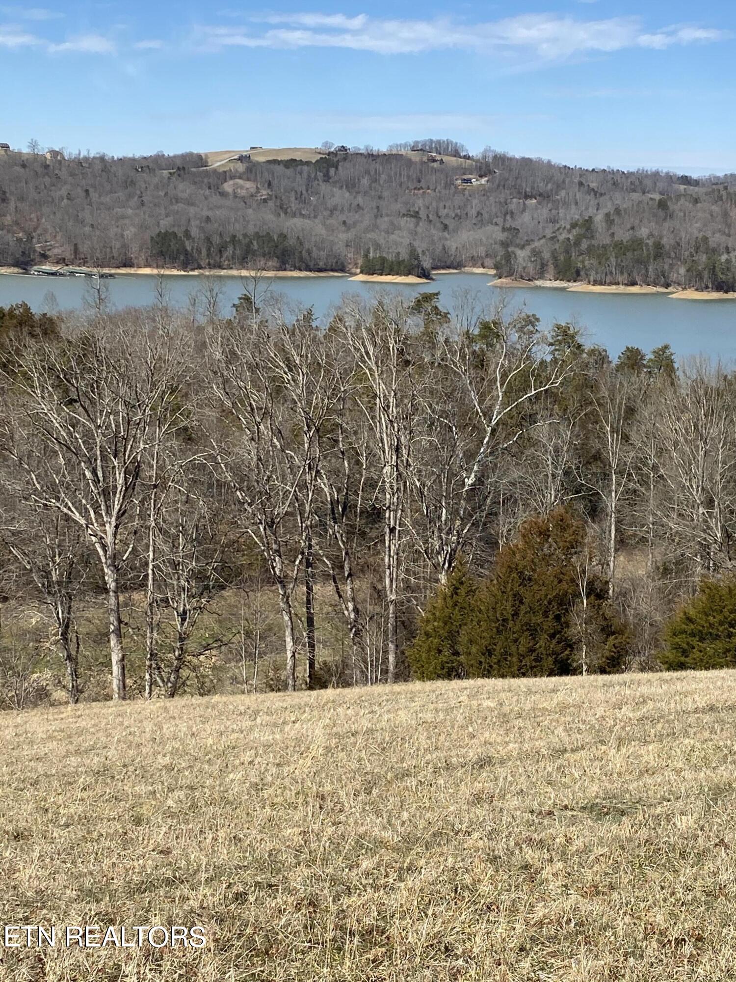 Bob Wright Road Maynardville, TN 37807 - Photo 3 of 22 IMG_1469