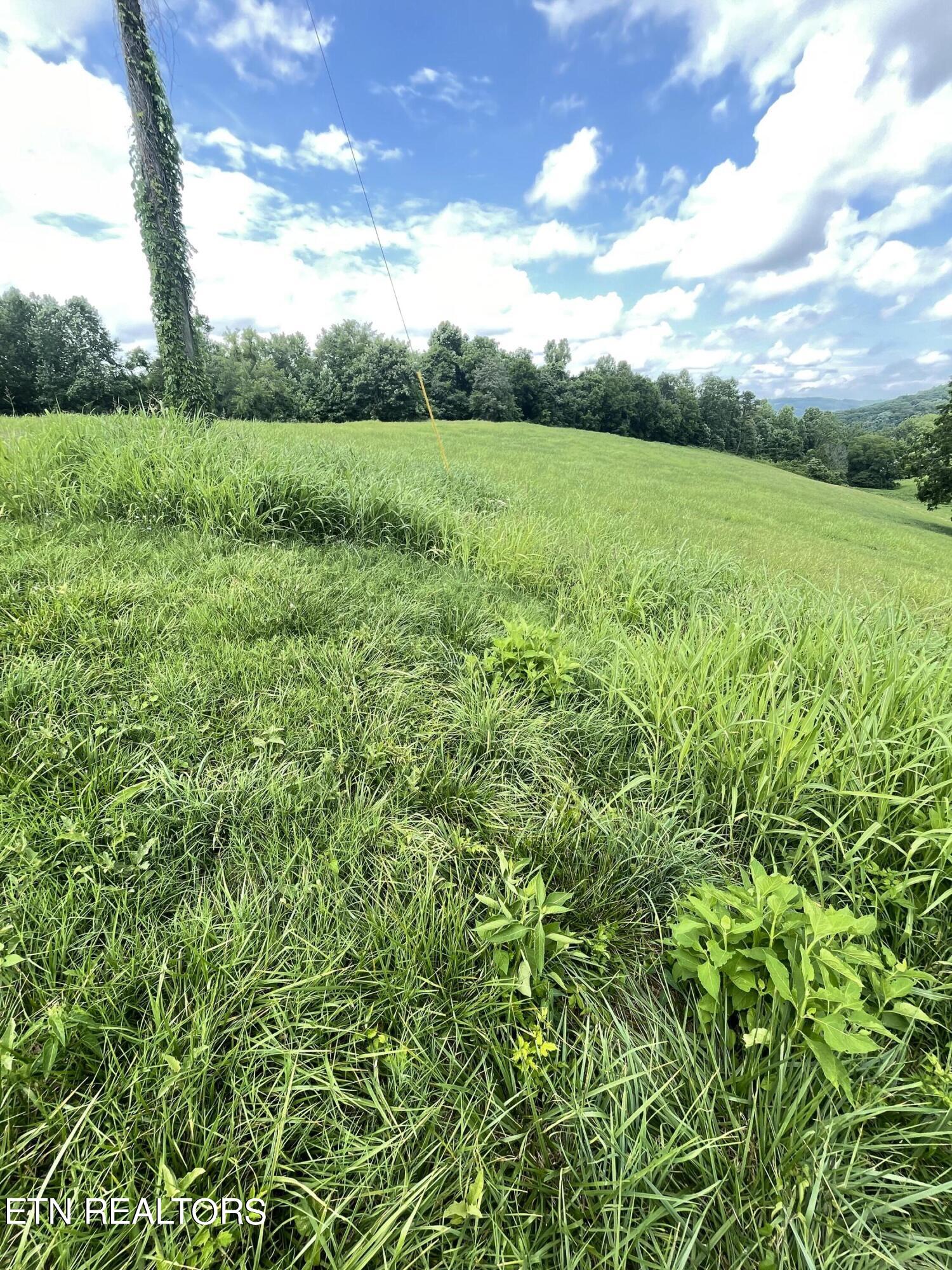Bob Wright Road Maynardville, TN 37807 - Photo 5 of 22 IMG_2313