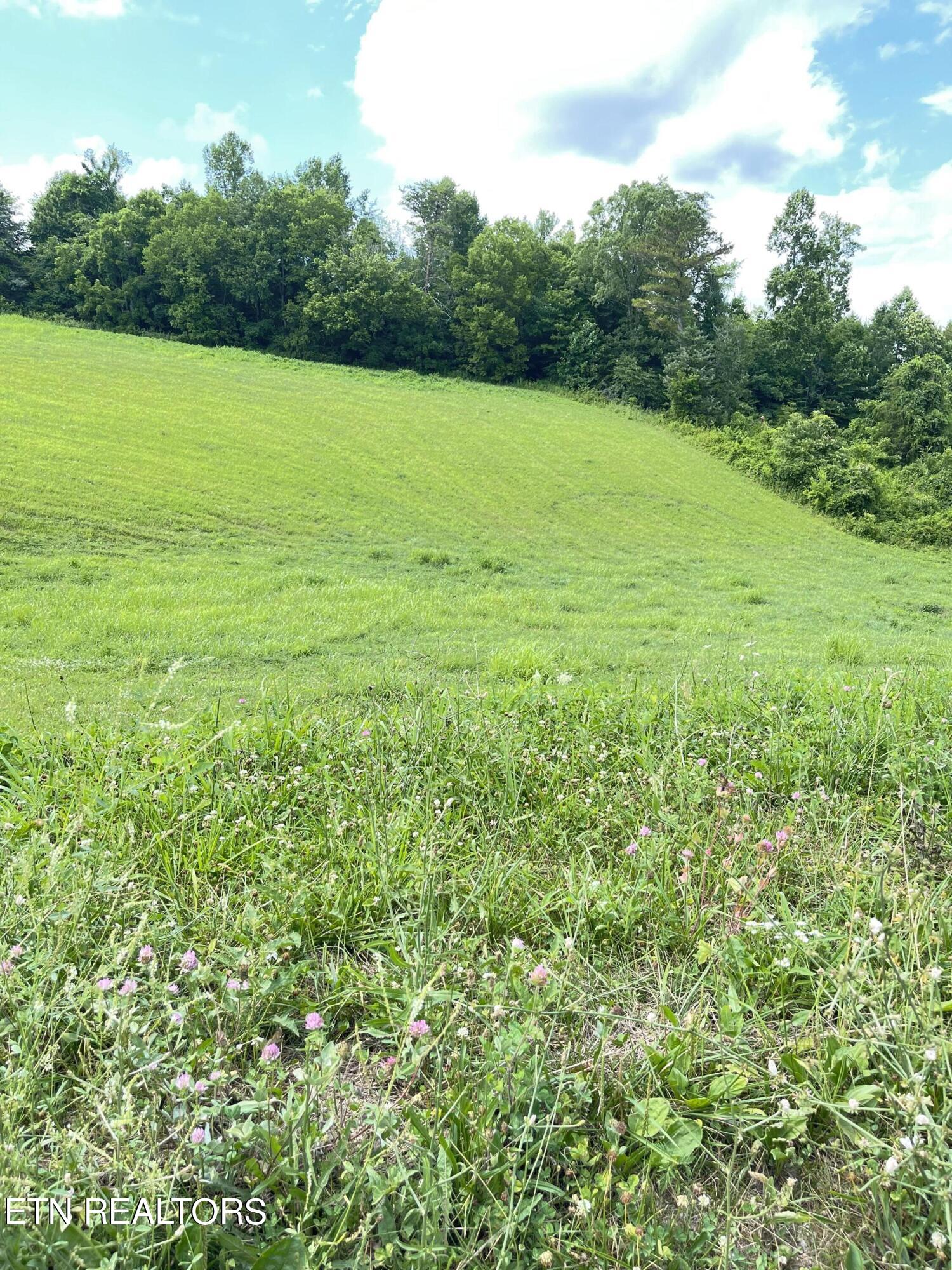 Bob Wright Road Maynardville, TN 37807 - Photo 6 of 22 IMG_2323