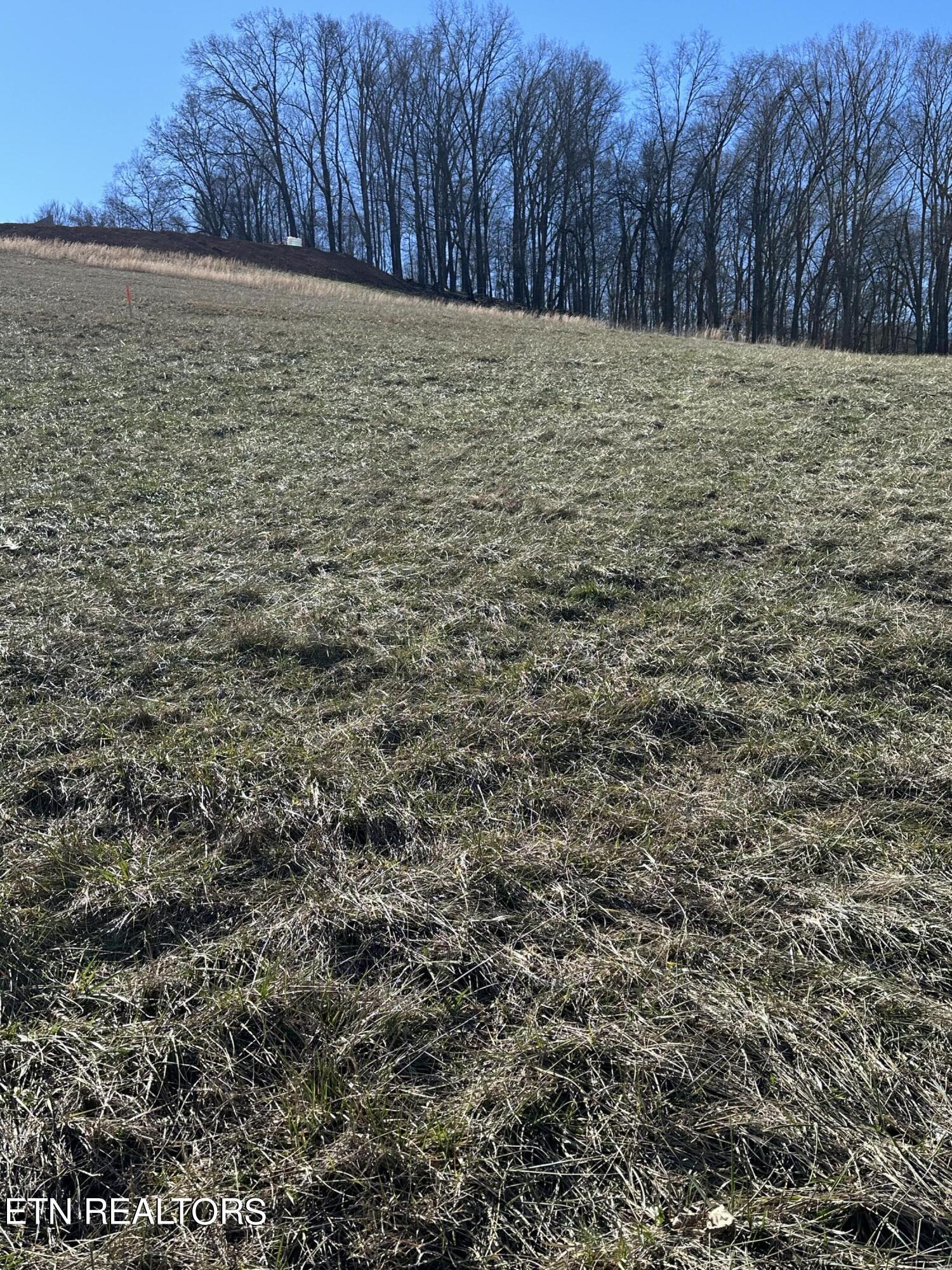 Bob Wright Road Maynardville, TN 37807 - Photo 7 of 22 lot 25 8