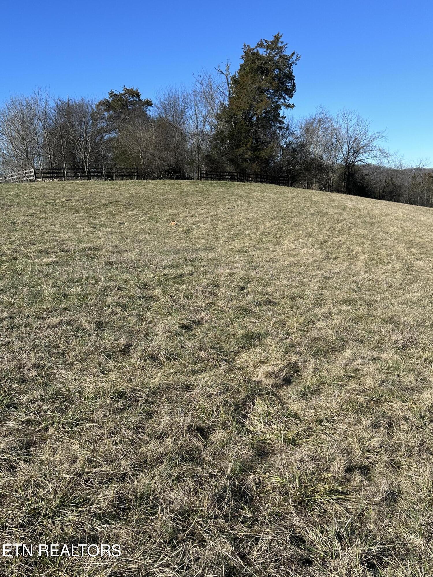 Bob Wright Road Maynardville, TN 37807 - Photo 8 of 22 lot 25 10