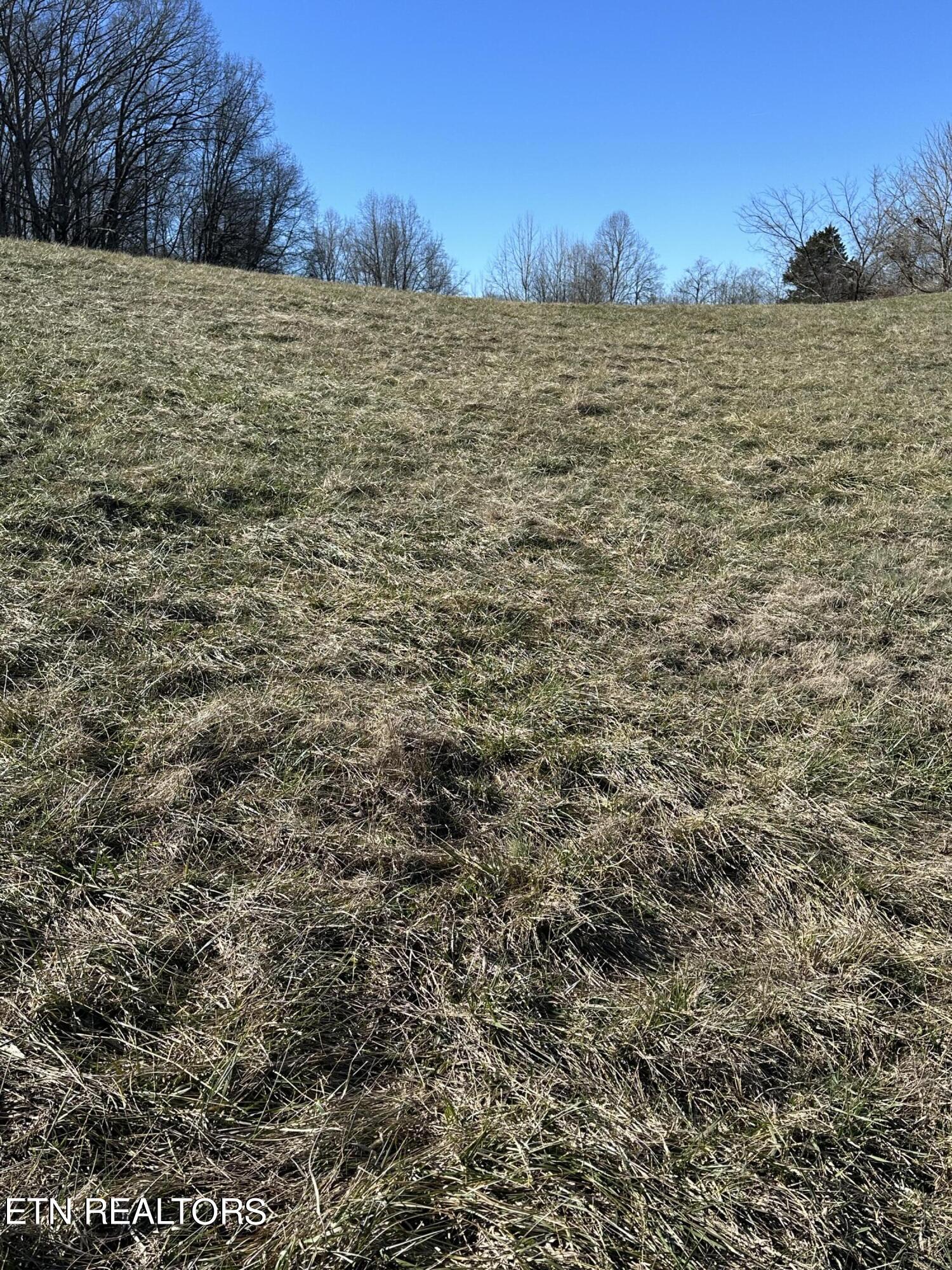 Bob Wright Road Maynardville, TN 37807 - Photo 9 of 22 lot 25 9