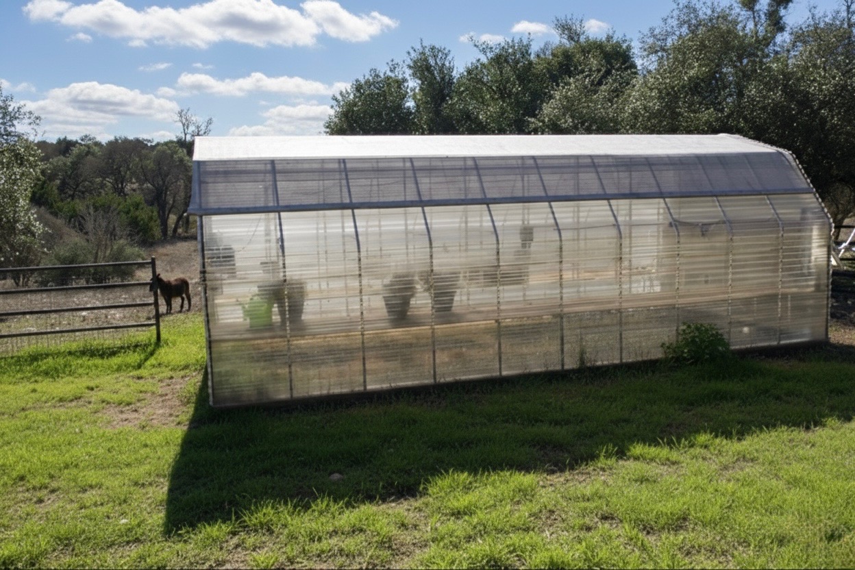 1159 Astral Point Spring Branch, TX 78070 - Photo 25 of 38 a view of a backyard