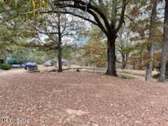 5591 Myers Road Byhalia, MS 38611 - Photo 11 of 17 IMG_0750(1)