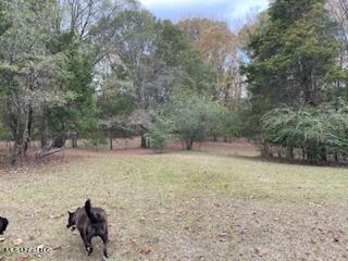 5591 Myers Road Byhalia, MS 38611 - Photo 13 of 17 IMG_0759