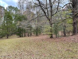 5591 Myers Road Byhalia, MS 38611 - Photo 17 of 17 IMG_0760