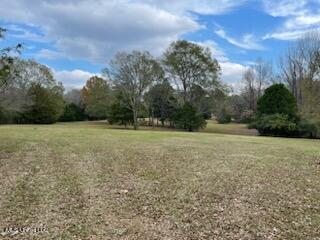 5591 Myers Road Byhalia, MS 38611 - Photo 9 of 17 IMG_0751
