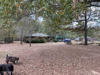 5591 Myers Road Byhalia, MS 38611 - Photo 10 of 17 IMG_0749