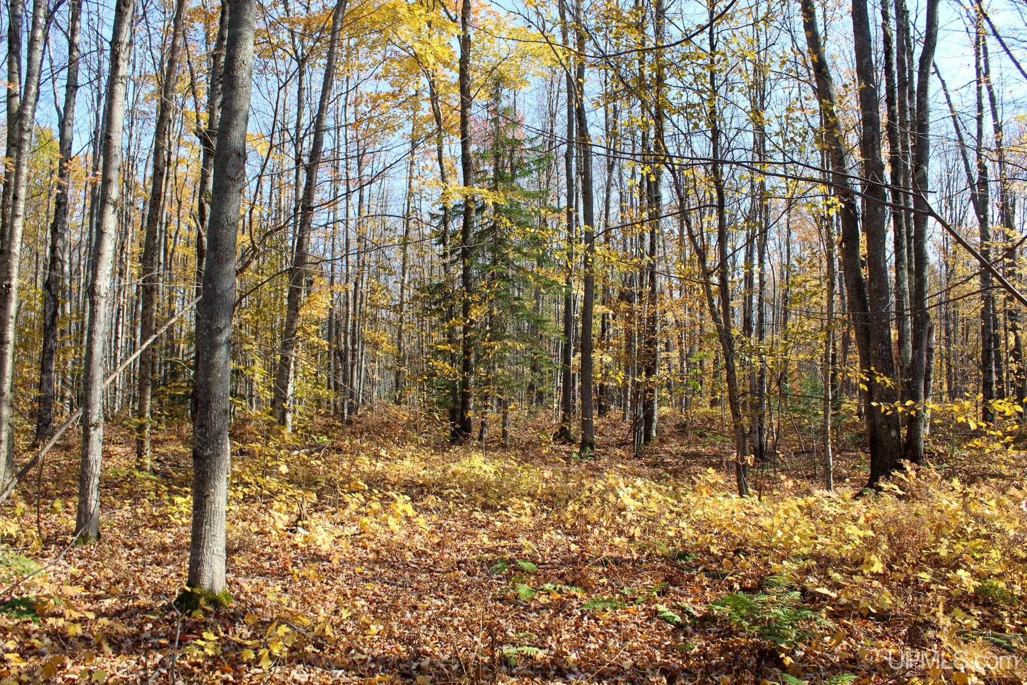 Tbd Pike River Road Chassell, MI 49916 - Photo 44 of 57 Gallery Image 44