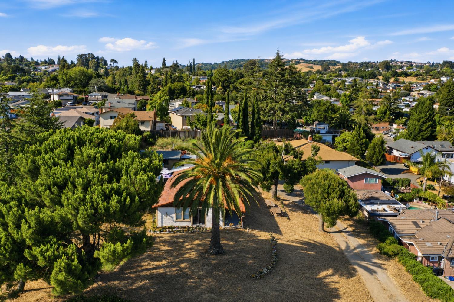 4304 Seven Hills Road Castro Valley, CA 94546 - Photo 7 of 12 Gallery Image 7