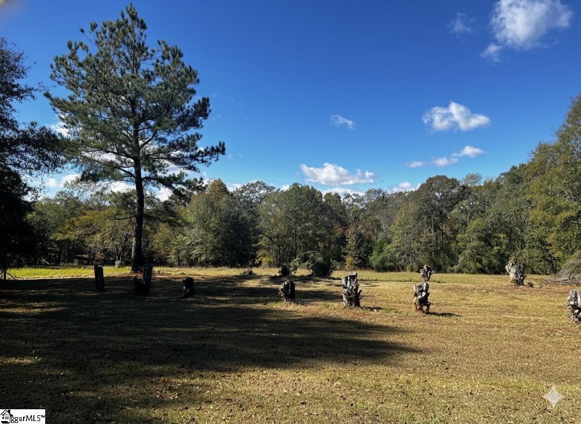 859 Cooper Bridge Road Fountain Inn, SC 29644 - Photo 11 of 50